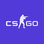 Counter Strike Global Offensive Professional