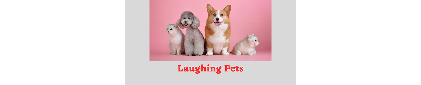 Laughing Pets