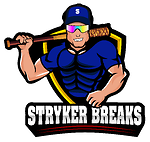 Stryker Breaks