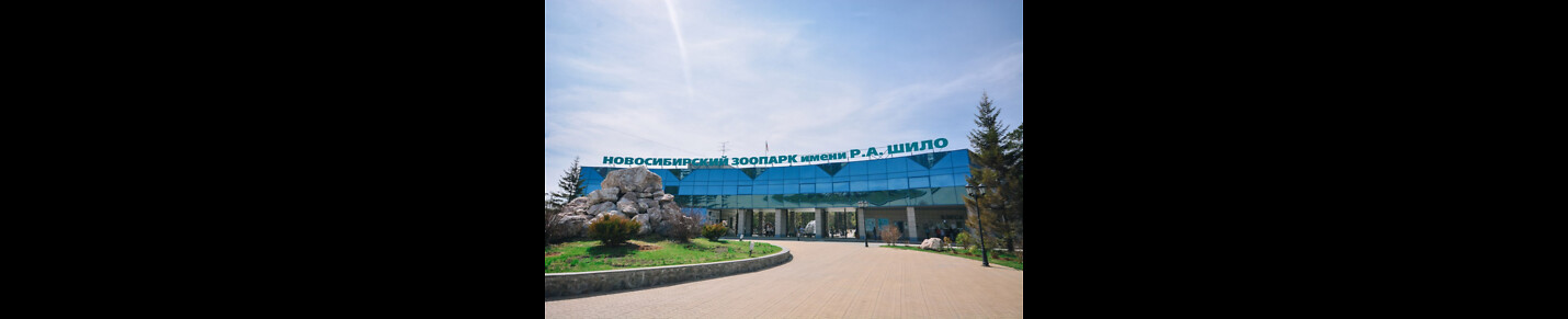Russian Zoo In Novosibirsk