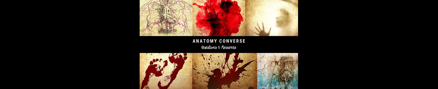 Anatomy Converse