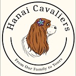Hanai Cavaliers