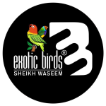 Exotic Birds Official