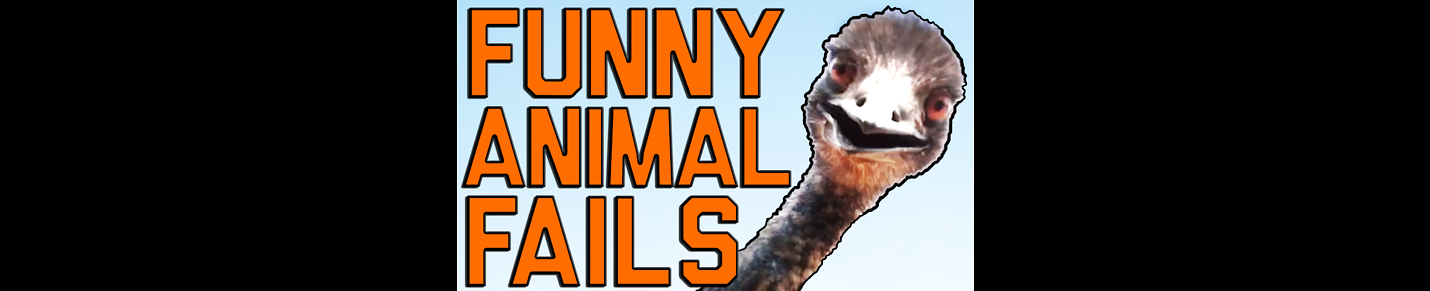 Failarmy best sale animals 2021