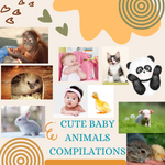 CuteBabyAnimalsCompilations