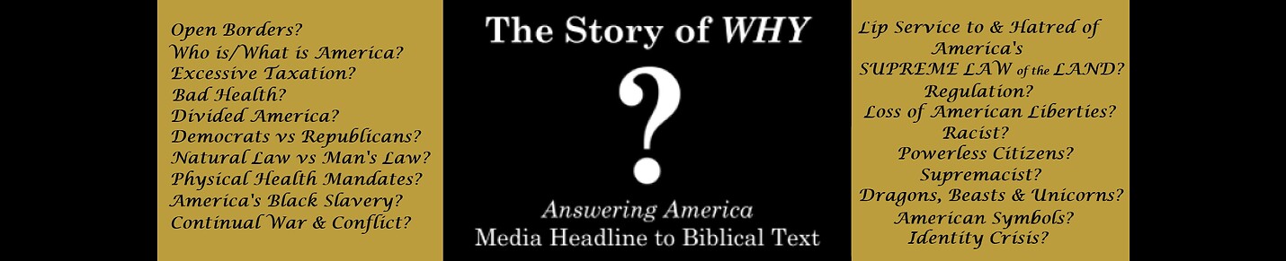 THE STORY OF WHY - Alternate View Answering America's Politic