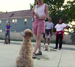 Dog Training For Smart People - Suzydog.com