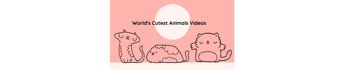 World's Cutest Animals Videos