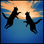 Synchronized Cat Jumping: Leaping Felines in Perfect Harmony!