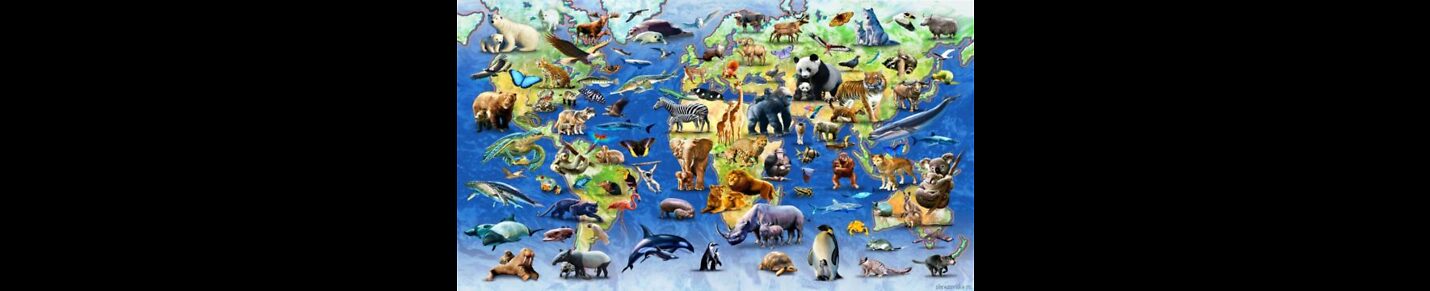 A channel about the nature of the animal world, various forms of life, human interests or entertainment.