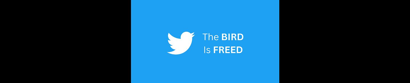 The Bird Is Freed Show