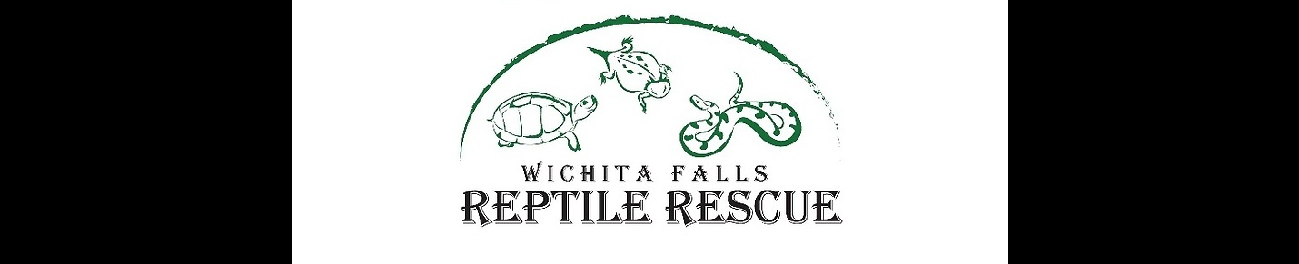 Reptile Rescue