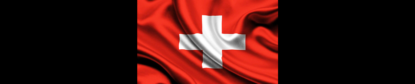 The Swiss Political System