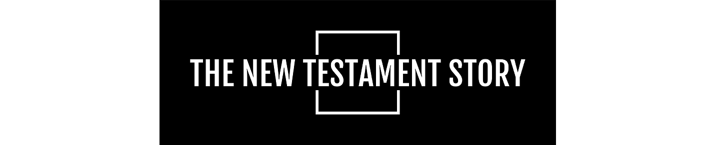 The New Testament Story