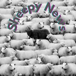 Sheepy News