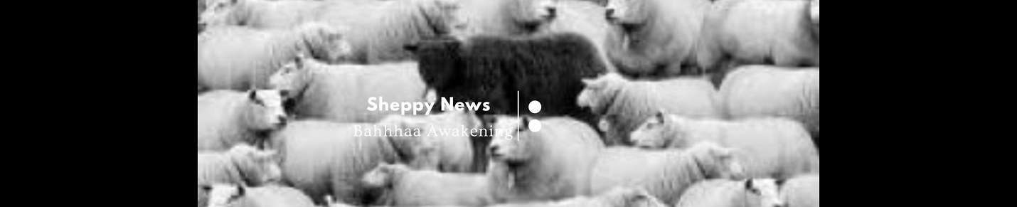 Sheepy News