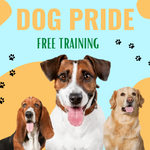 Dog Training 101- Fun and easy ways to take care of your bestfriend