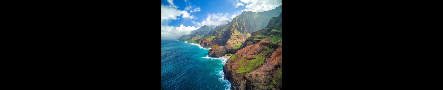 Hawaii Free Speech News