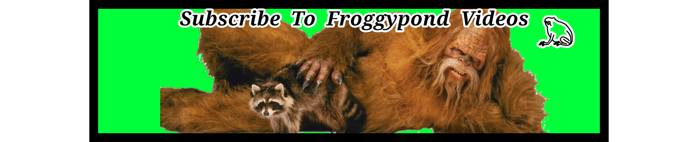 FroggypondVideos