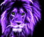 Purple Lion Project