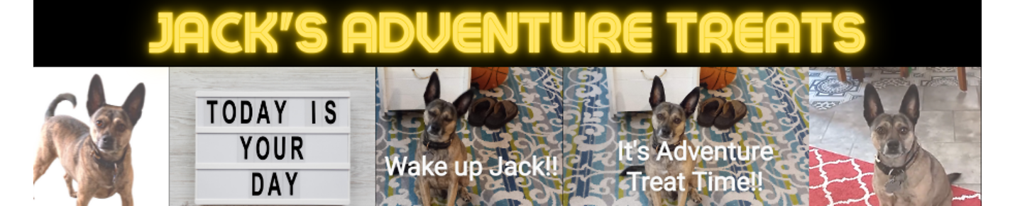 Jack's "Adventure Treats" - Food MOTIVATED Pup Fun!