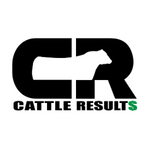 Cattle Results