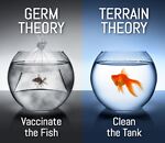 Terrain Theory Documentaries