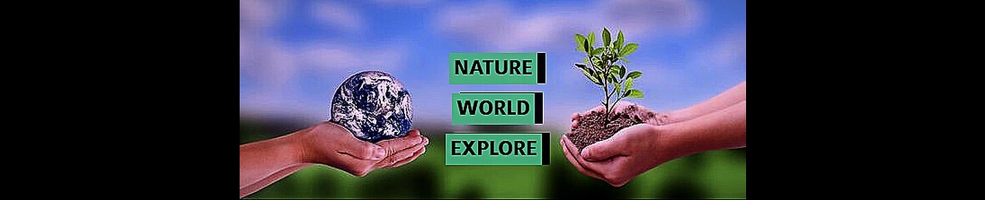 NatureWorldExplore