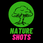 Nature Shots