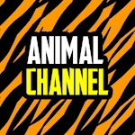 Animal Planet Channel