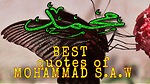 Islamic quotes