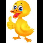 Funny Ducks Lifestyle Video
