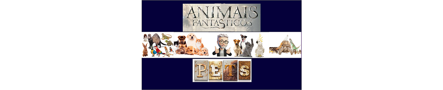 Animais Fantásticos Pets