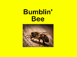 Bumblin' Bee