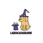 TheLabracadabrador