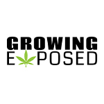 Cannabis Garden Tours | Growing Exposed