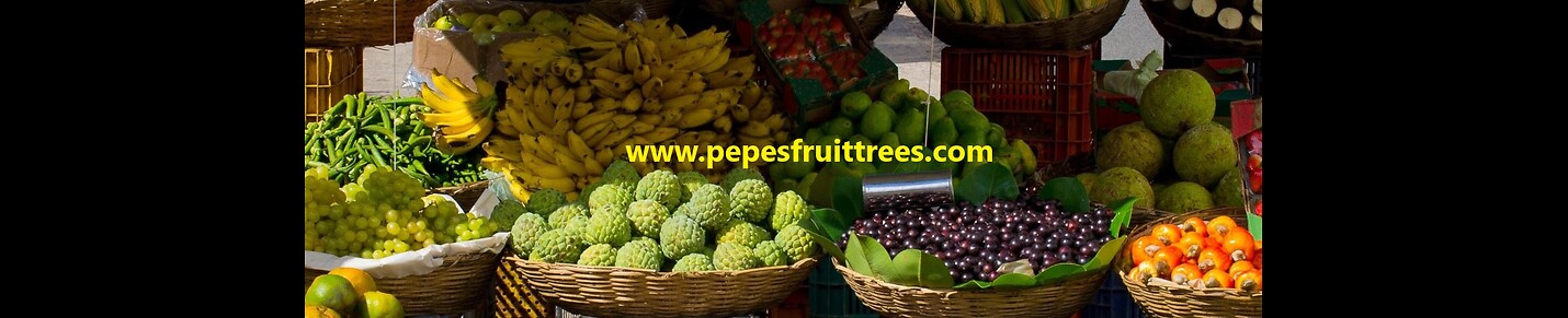 Pepe's Fruit Trees