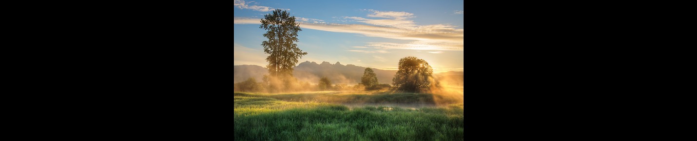 Immerse Yourself in Nature's Embrace 🌿 | [nature goodnes]