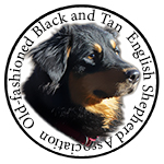 Old-fashioned Black and Tan English Shepherd Association