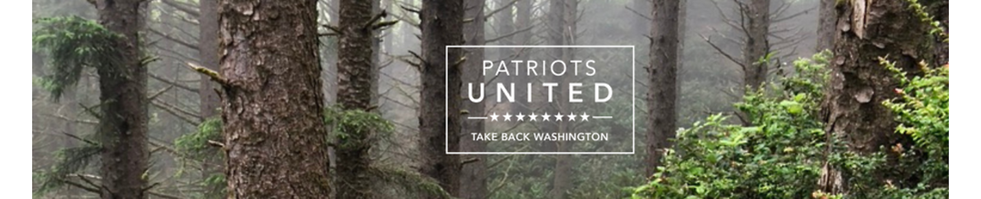 Patriots United Washington