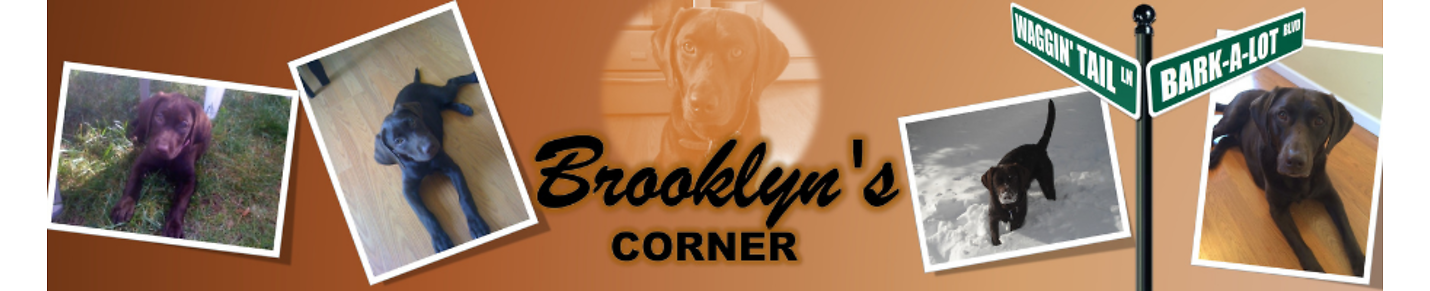 Brooklyn's Corner