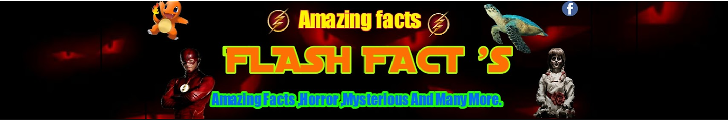 Flash Fact