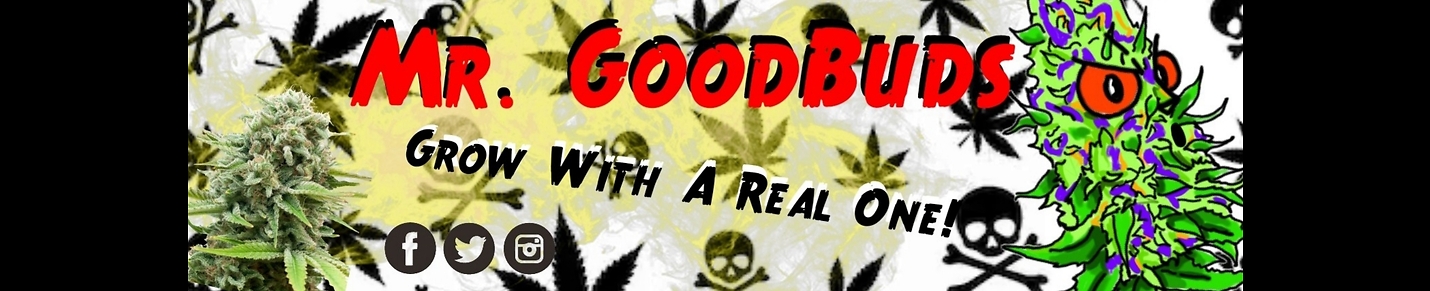 Mr. Goodbuds