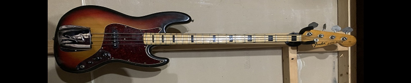 DB Bass Guitarisr