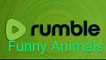 Rumble funny animals
