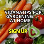 TIPS FOR GARDENING AT HOME