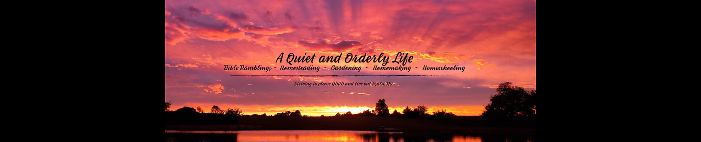 A Quiet and Orderly Life