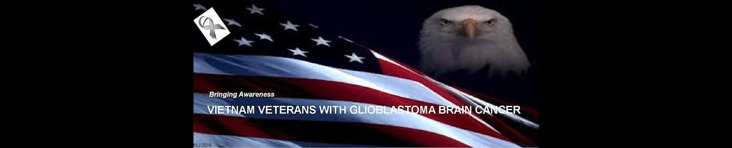 Vietnam Veterans with Glioblastoma Multiforme Brain Cancer (GBM4)