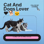 Dogs and Cat Lover