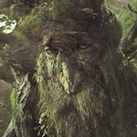 TreeBeard